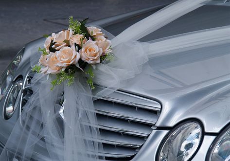 <b>ילדה, את רוצה סיבוב? (צילום: shutterstock)</b>